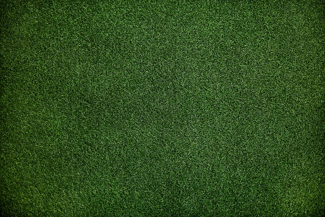 Zelený trávnik.jpg